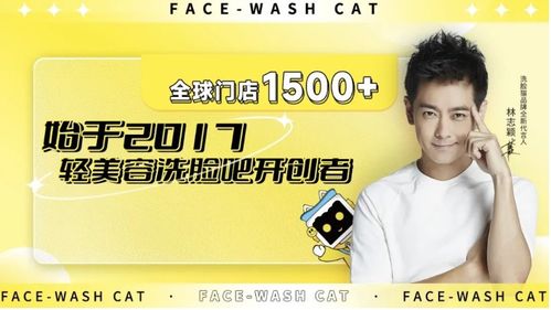 從“心智”破局 洗臉貓如何在抖音通過代理廣告實現市場擴張